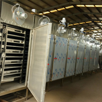 全自動脫水蔬菜加工設備